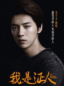 证人演员,揭开真相的幕后英雄