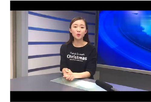 邯郸 电视女主播,镜头下的魅力与担当