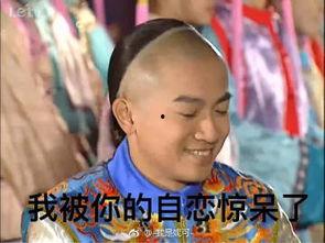 还珠表情包,穿越时空的欢乐记忆